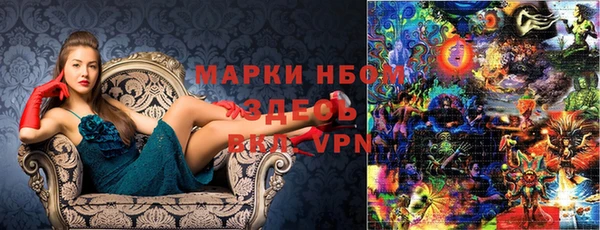 ешки Аркадак