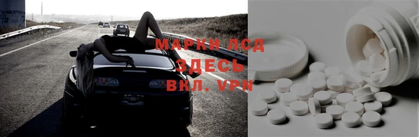 ешки Аркадак