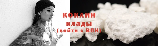 ешки Аркадак