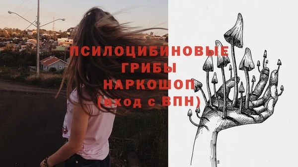 ешки Аркадак
